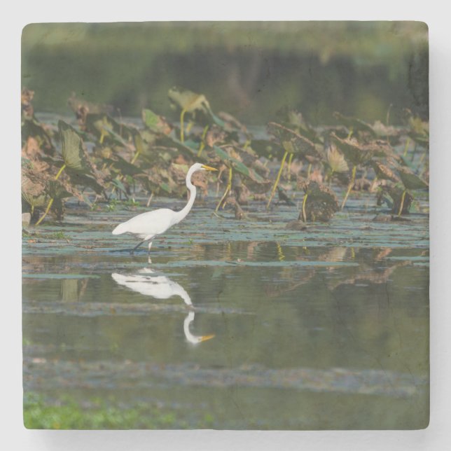 Dessous-de-verre En Pierre Réflexion de l'aigle blanc (Devant)
