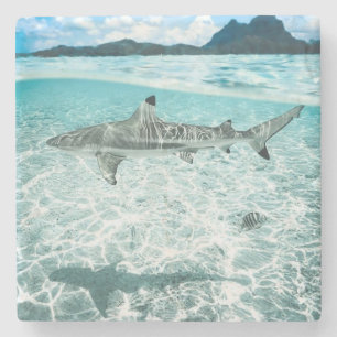 Dessous-de-verre En Pierre Requin dans les eaux