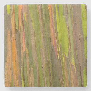 Dessous-de-verre En Pierre Résumé de l'écorce d'eucalyptus