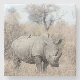 Dessous-de-verre En Pierre Rhino blanc