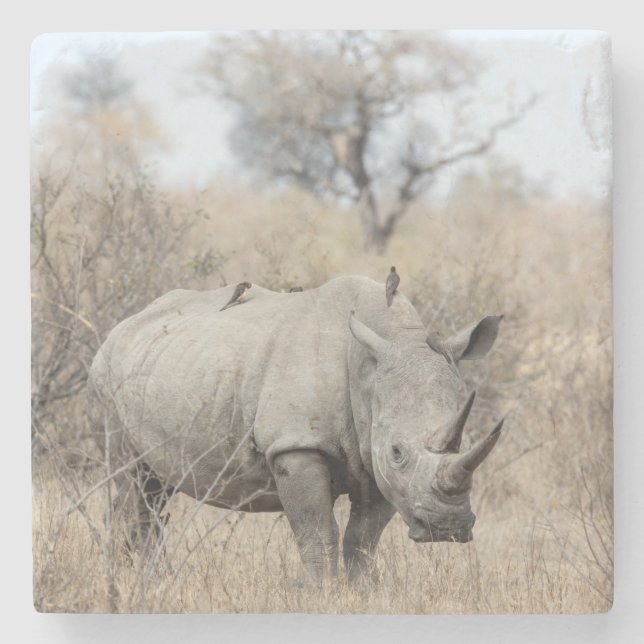 Dessous-de-verre En Pierre Rhino blanc (Devant)