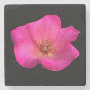 Dessous-de-verre En Pierre  Rose aux feutres