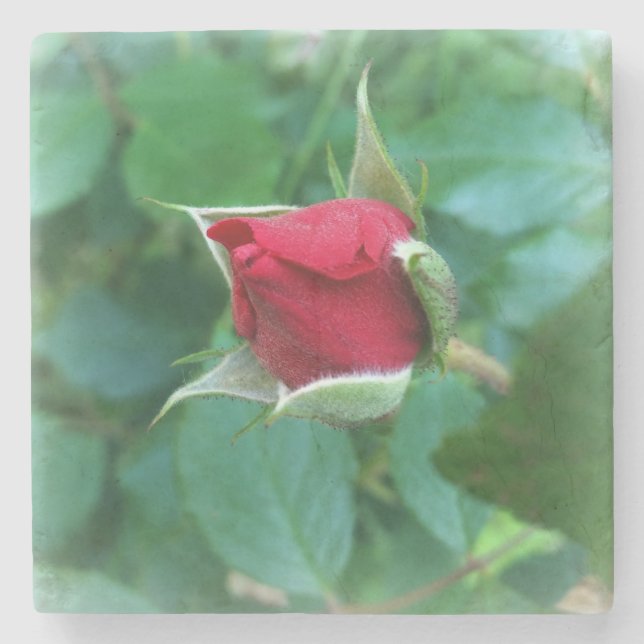 Dessous-de-verre En Pierre rosebud rouge (Devant)