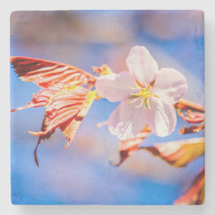 Dessous-de-verre En Pierre Rouge Sakura bleu ciel