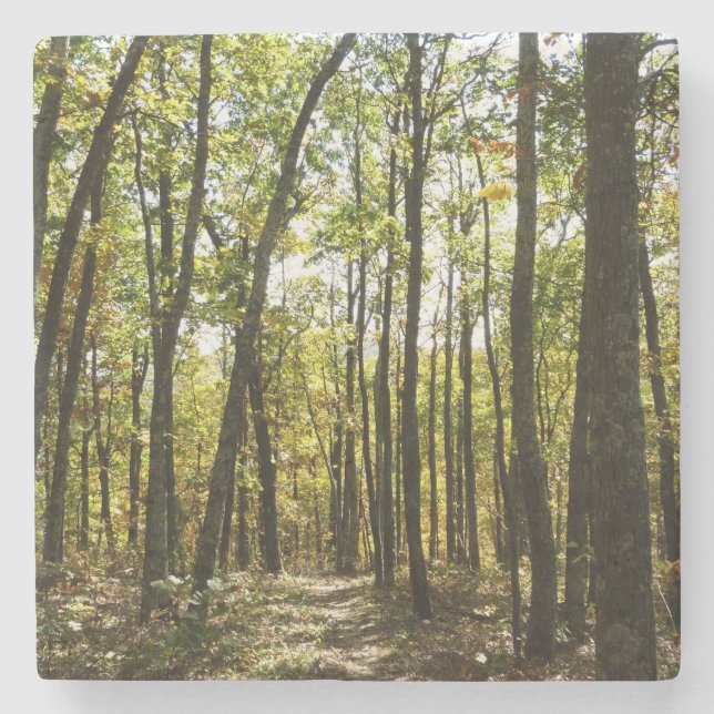 Dessous-de-verre En Pierre Sentier des Appalaches en octobre à Shenandoah (Devant)