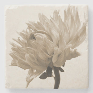 Dessous-de-verre En Pierre sépia dahlia