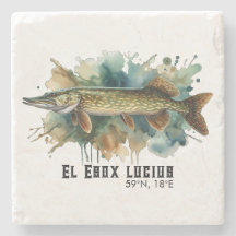 Série Aquarelle : Brochet