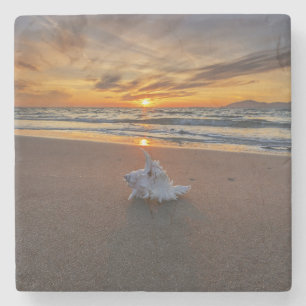 Dessous-de-verre En Pierre Shell à la plage à l'île du coucher du soleil  