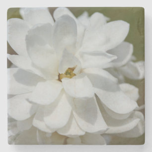 Dessous-de-verre En Pierre Silky Magnolia