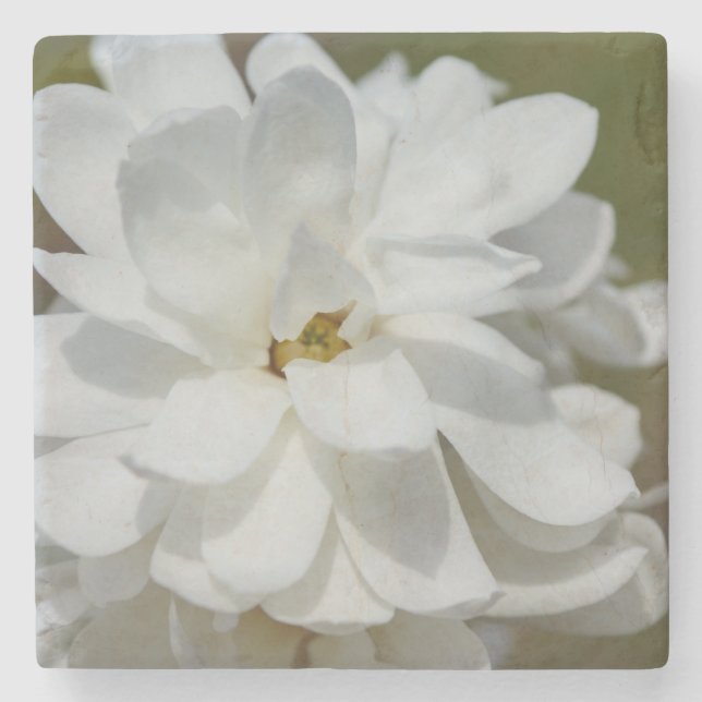Dessous-de-verre En Pierre Silky Magnolia (Devant)