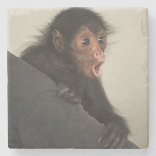 Dessous-de-verre En Pierre Singe araignée à face rouge Ateles paniscus)