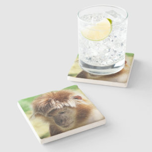 DESSOUS-DE-VERRE EN PIERRE SINGES