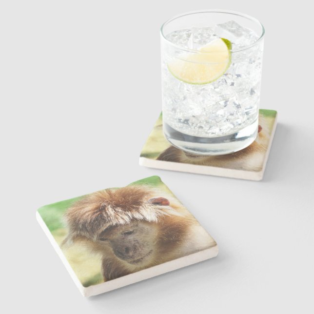 DESSOUS-DE-VERRE EN PIERRE SINGES (Côté)