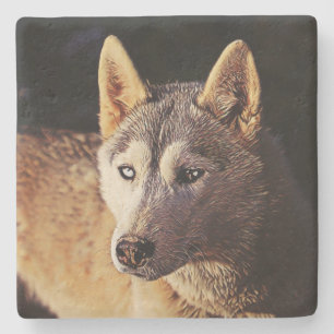 Dessous-de-verre En Pierre smartmix animal- loup