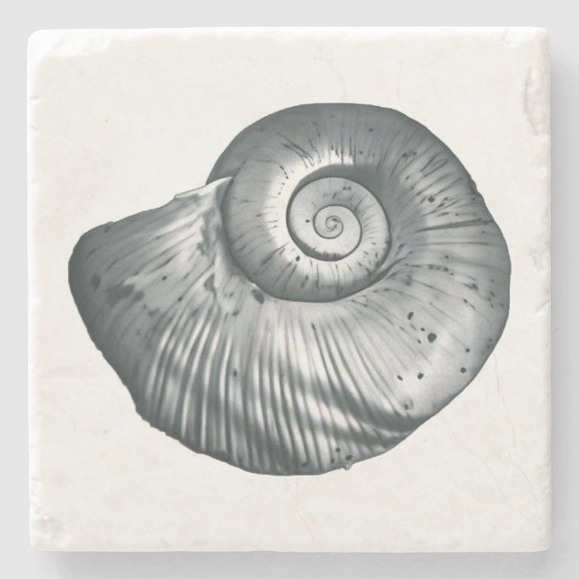 Dessous-de-verre En Pierre Snail Shell (Devant)
