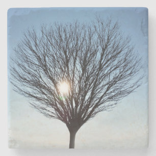 Dessous-de-verre En Pierre soleil d'hiver