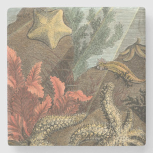 Dessous-de-verre En Pierre Sous la mer