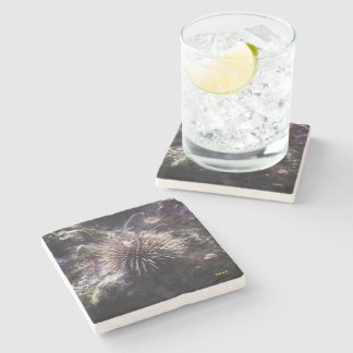 Dessous-de-verre En Pierre Sous-marin