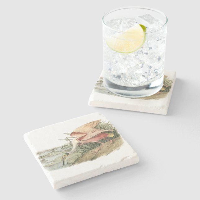 Dessous-de-verre En Pierre Spatule rose par Audubon (Côté)