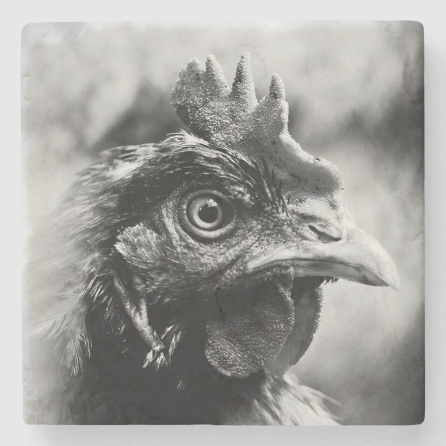 Dessous-de-verre En Pierre spiritueux et poulets 2 (Devant)