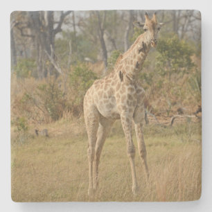 Dessous-de-verre En Pierre Stately Giraffe.