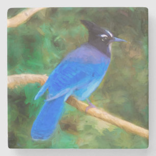 Dessous-de-verre En Pierre Steller's Jay Painting - Art original pour oiseaux