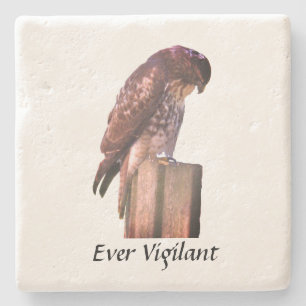 Dessous-de-verre En Pierre Stone Coaster - Faucon - Toujours Vigilant