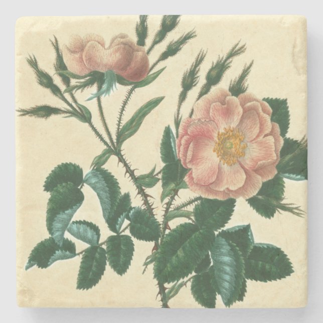 Dessous-de-verre En Pierre Sweet Briar Rose (Devant)