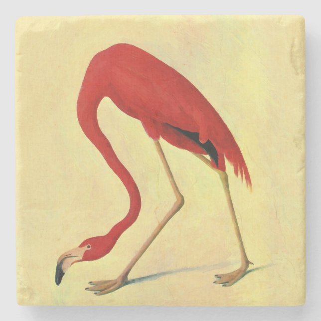 Dessous-de-verre En Pierre Tableau Flamant rose américain Audubon (Devant)