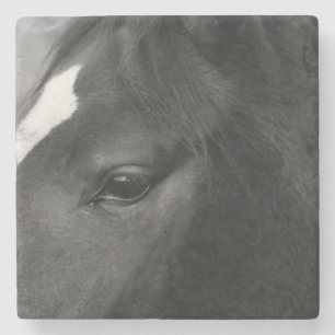 Dessous-de-verre En Pierre Terme de la côte du cheval
