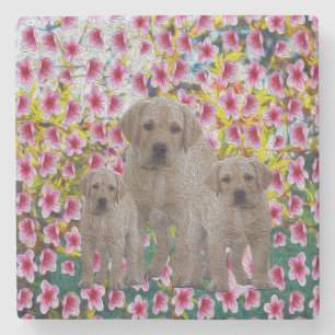 Dessous-de-verre En Pierre Three Labrador Puppies Oil Painted