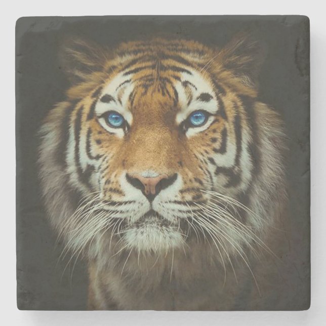 Dessous-de-verre En Pierre Tigre (Devant)