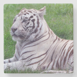 Dessous-de-verre En Pierre Tigre blanc