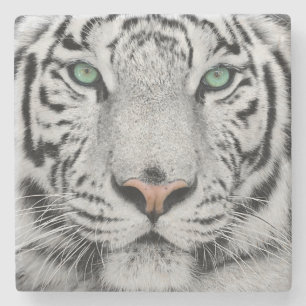 Dessous-de-verre En Pierre Tigre blanc
