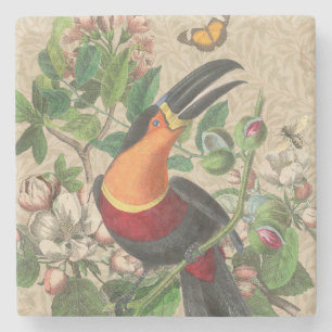Dessous-de-verre En Pierre Toucan Jungle Tropical Bird Belle antique