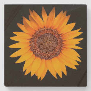 Dessous-de-verre En Pierre Tournesol