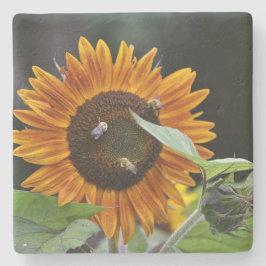 Dessous-de-verre En Pierre Tournesol brillant