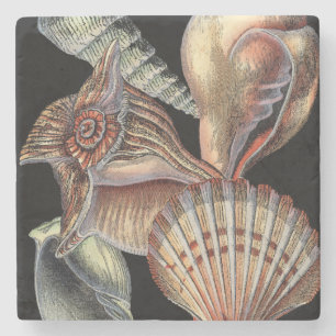 Dessous-de-verre En Pierre Trésors de la mer