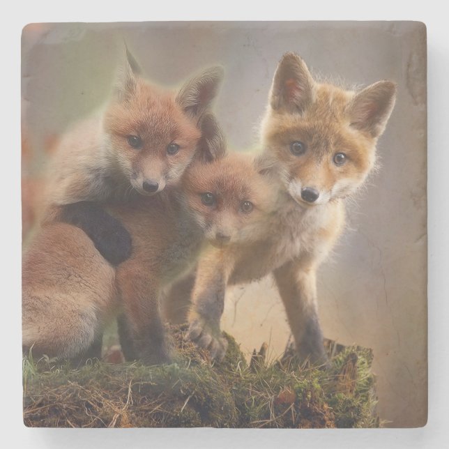 Dessous-de-verre En Pierre Triplets Foxy (Devant)