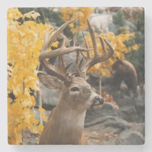 Dessous-de-verre En Pierre Trophée Deer