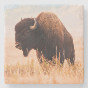 Dessous-de-verre En Pierre Troupeau De Bison Américain (Bison Bison) À Teton