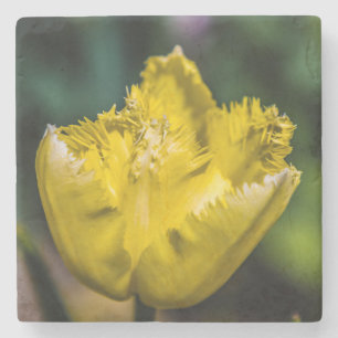 Dessous-de-verre En Pierre Tulipe jaune