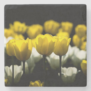 Dessous-de-verre En Pierre Tulipes Jaune Et Blanc