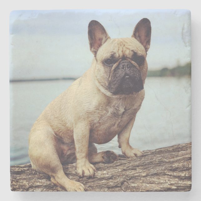 Dessous-de-verre En Pierre Un Bulldog français (Devant)