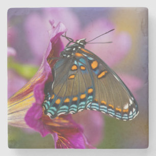 Dessous-de-verre En Pierre Un papillon swallowtail