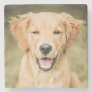 Dessous-de-verre En Pierre Un portrait d'un chiot de golden retriever
