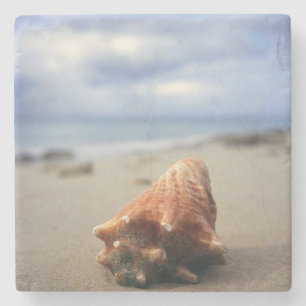 Dessous-de-verre En Pierre Une conque Shell sur le St Croix, Usvi de la plage