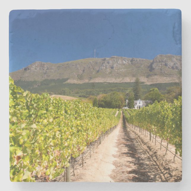 Dessous-de-verre En Pierre Vignoble, Le Cap, Cap-Occidental, Afrique du Sud 2 (Devant)