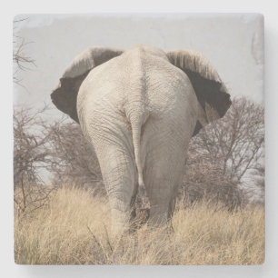 Dessous-de-verre En Pierre Vue arrière de l'éléphant