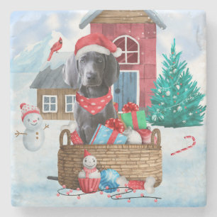 Dessous-de-verre En Pierre Weimaraner Chien dans la neige Maison de Chien de